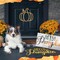 14 Pieces Fall Pumpkin Stencils for Doormat Painting Hello Pumpkin Welcome